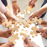 How Can Team Building Help Your Organization?