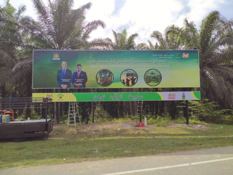 gua musang 768x576