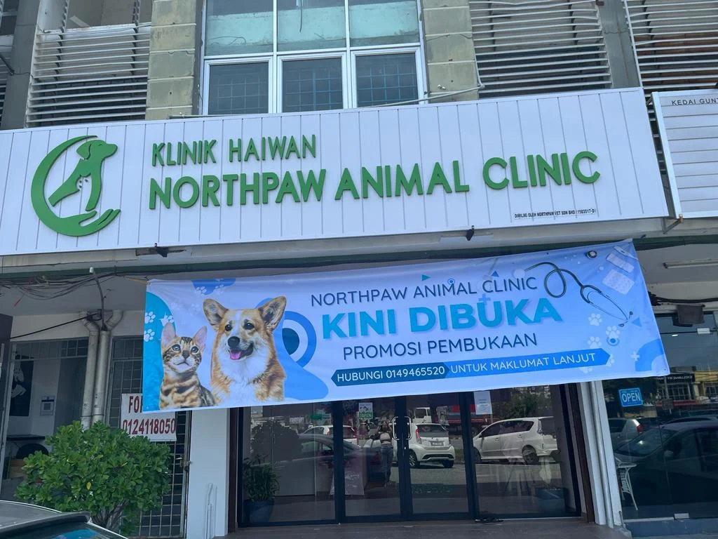 Klinik Haiwan Northpaw (Northpaw Animal Clinic) Klinik Haiwan Northpaw (Northpaw Animal Clinic)