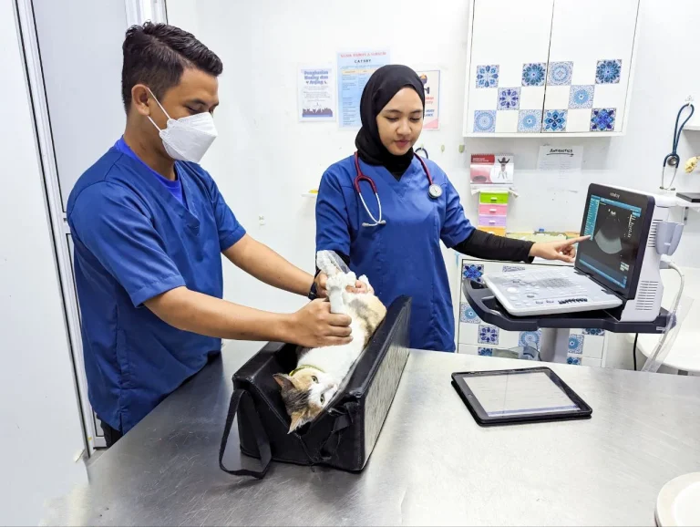2024 03 20 1 768x578