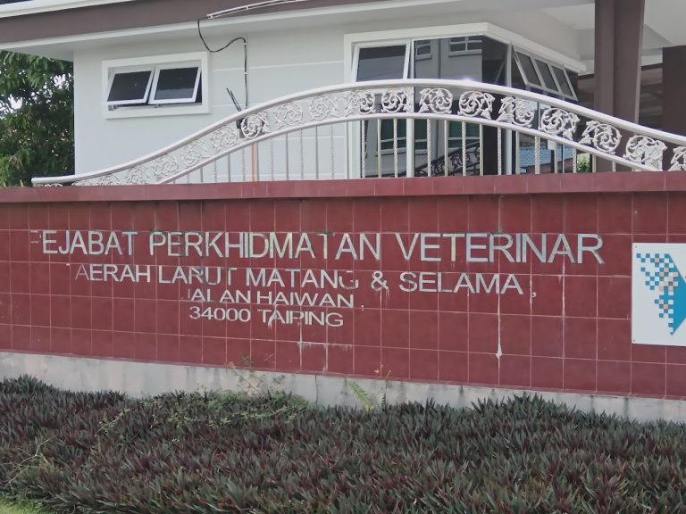 d3 768x576