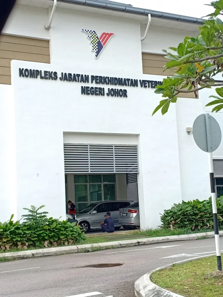 e1 768x1023