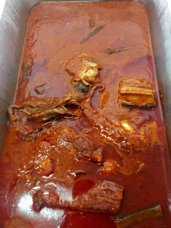 ikan pari