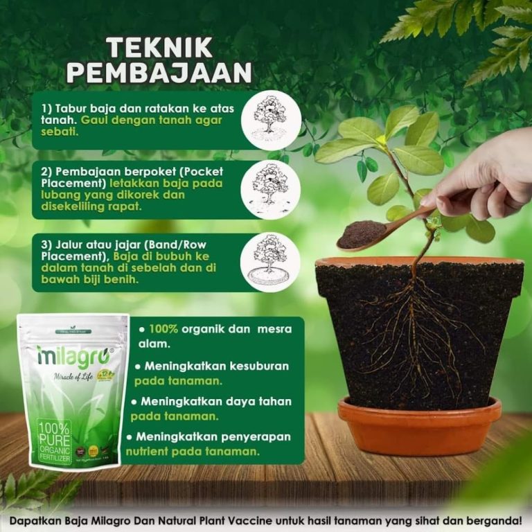 WhatsApp Image 2021 09 06 at 07.32.24 768x768