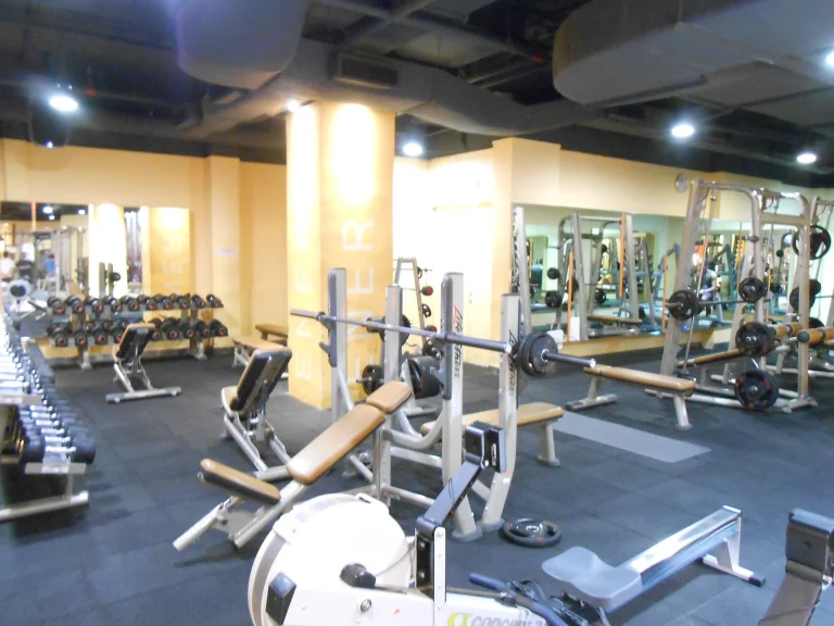 FREE WEIGHTS 768x576