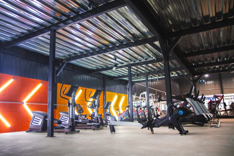 a3 5 768x512